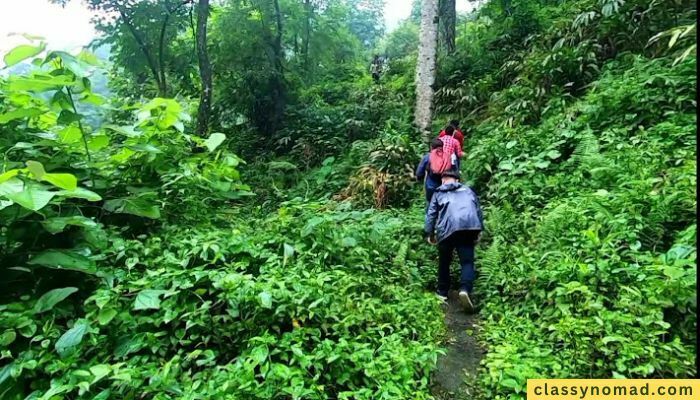 Asalea Waterfalls west bengal