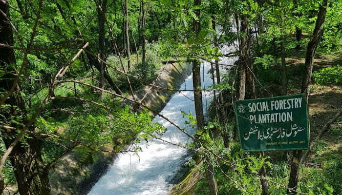 Ganderbal falls