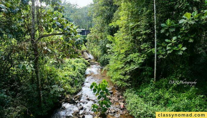 Areekkal Waterfalls Ernakulam