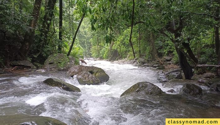 Netravali Waterfall Goa - Things to Know Before Visiting - Classy Nomad