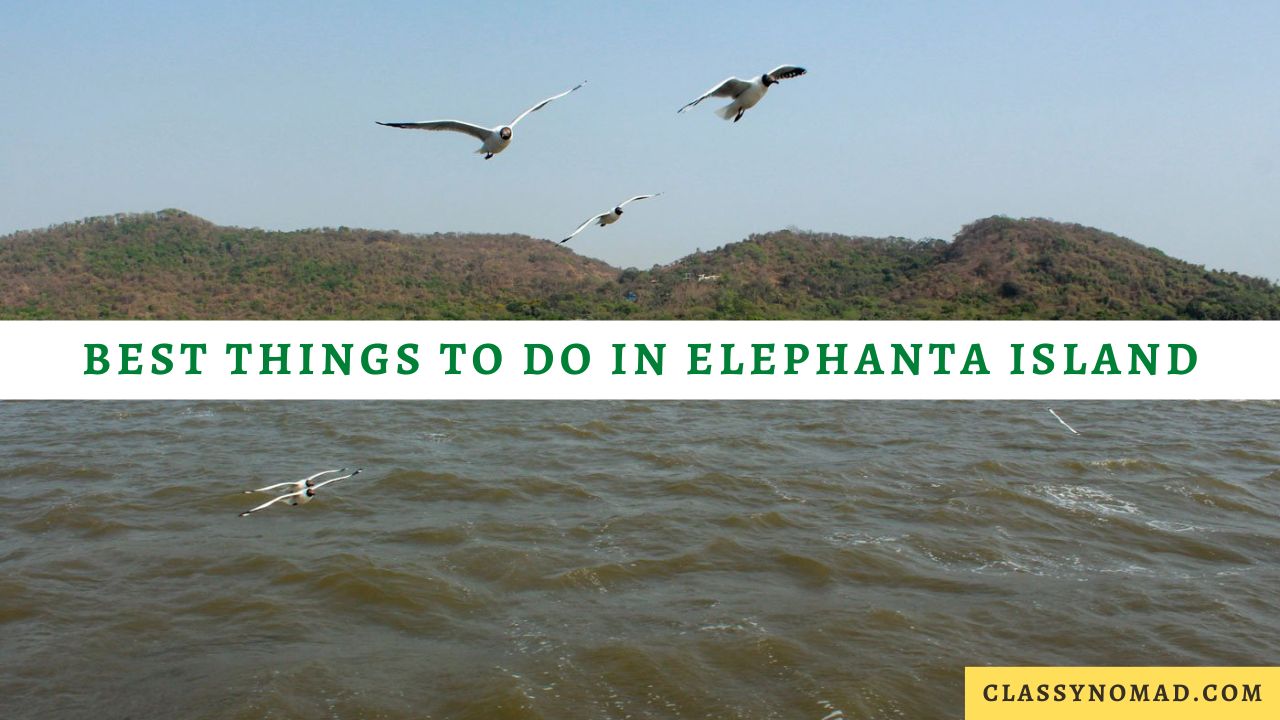 Best Things to Do in Elephanta Island