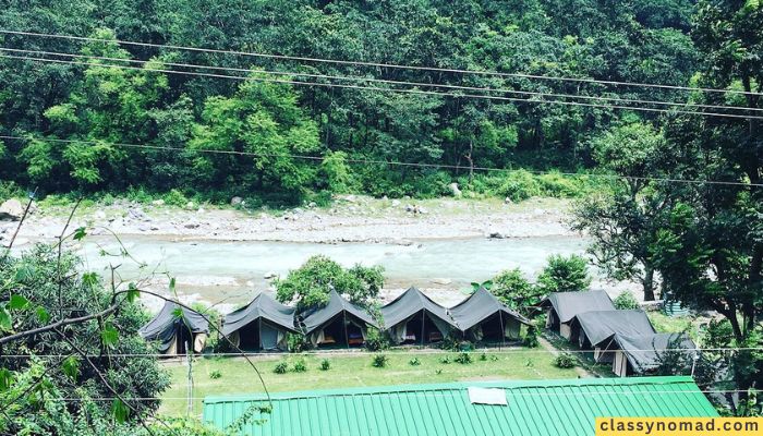 Wildex Camp Rishikesh