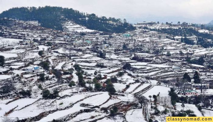 Snow fall in Almora