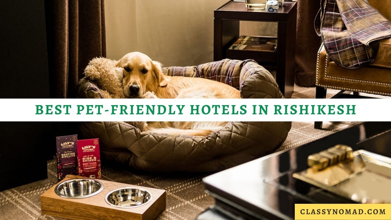 Best Pet-Friendly Hotels in Rishikesh