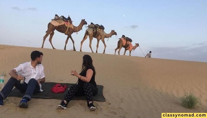 Half Day Camel Safari Sunset with Dinner Tour